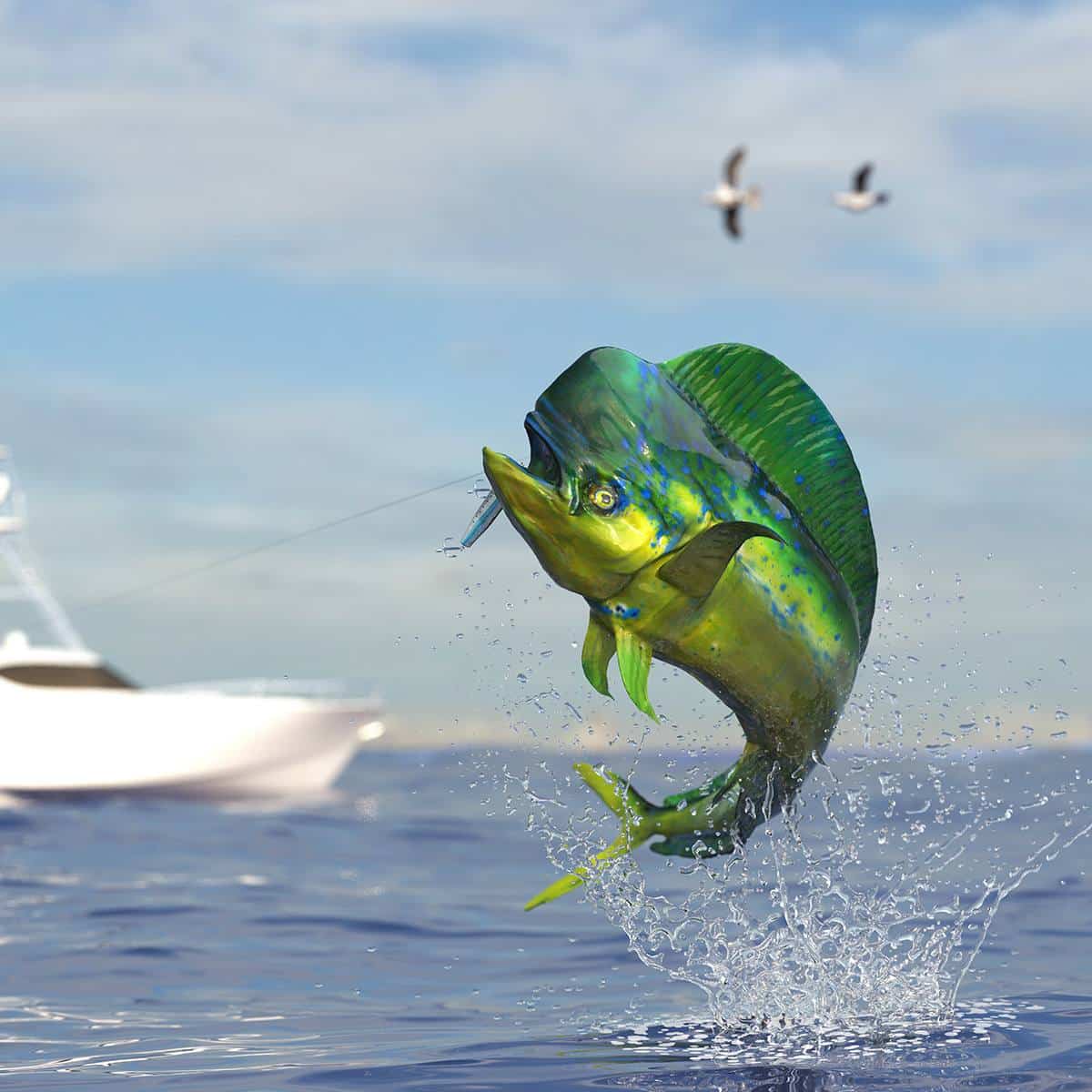 Fishing-Charters-Jupiter-Island-FL